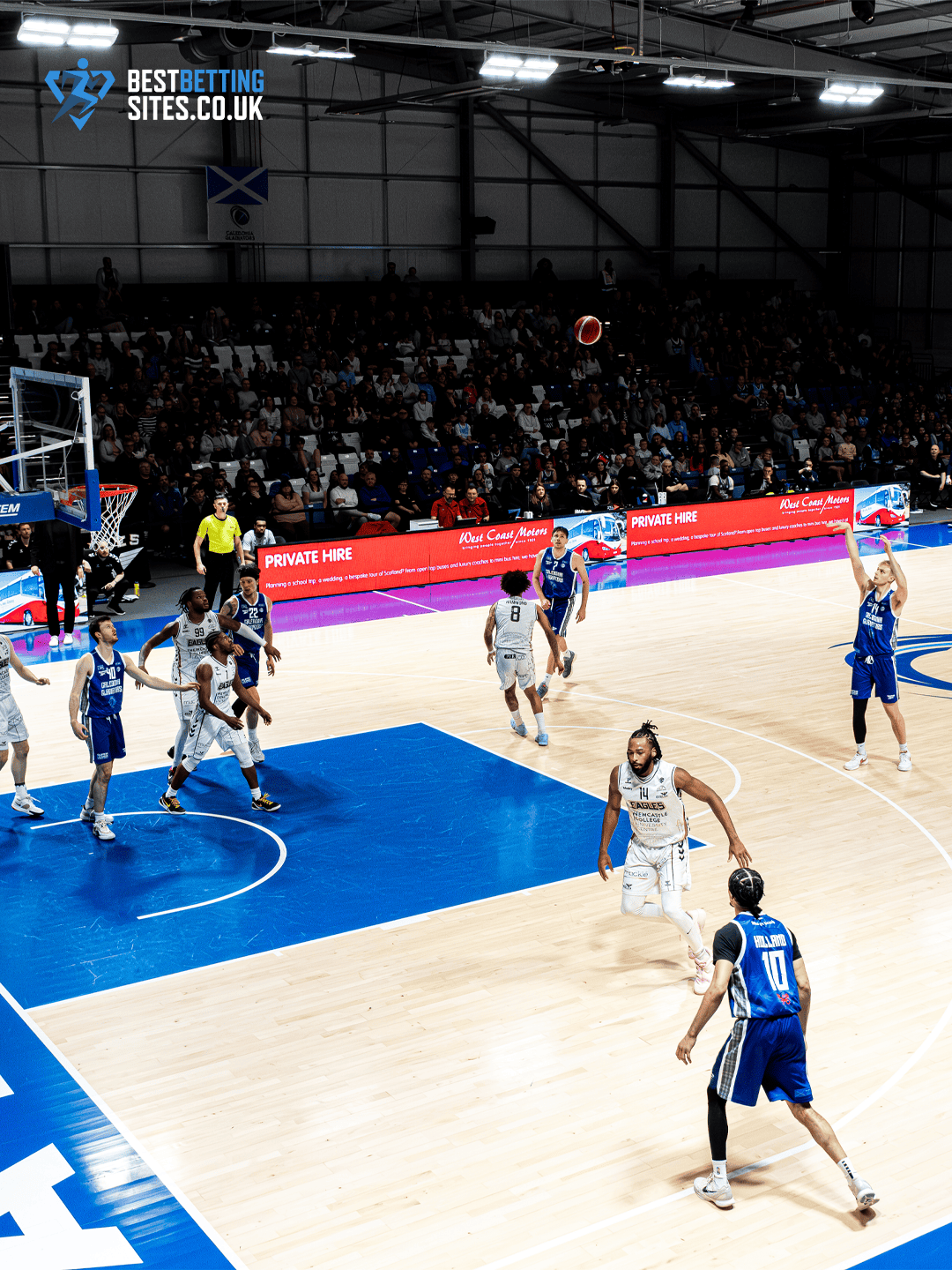 Gladiators Fall to Eagles Despite Sold-Out Home Support