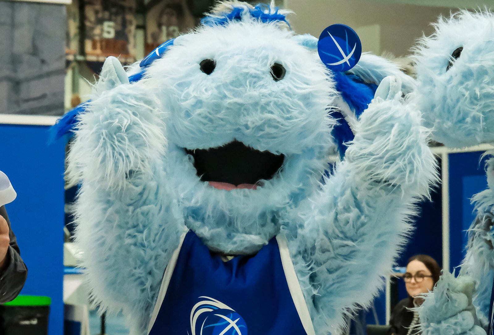 Fan Survey Now Launched – Have Your Say!