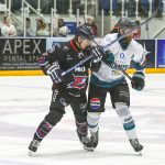 GAME PREVIEW: STARS SET FOR REMATCH WITH GIANTS